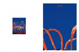 merz merz architekten