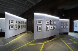 merz merz architekten