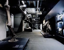 merz merz architekten