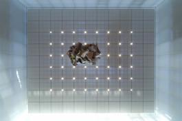 merz merz architekten