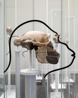 merz merz architekten