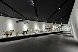 merz merz architekten